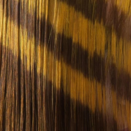 Founding Stylist Color Masterclass at G Hair Lounge in Tempe, AZ